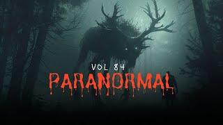 62 Bone Chilling Paranormal Tales Unleashed | Vol 84