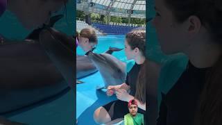 kiss with dolphin #trending #машамашуня #funny #dolphine #trending #shorts #youtubeshorts