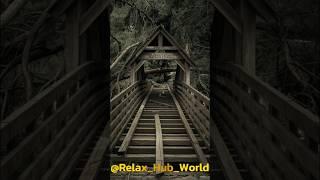 Relax To The Song Wooden Churches #rock #metal #nature #топ