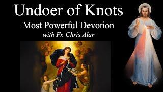 Our Lady Undoer of Knots - Explaining the Faith w/Fr. Chris Alar