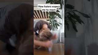 How haters expect me to react #music #classicalmusic #comedymemes