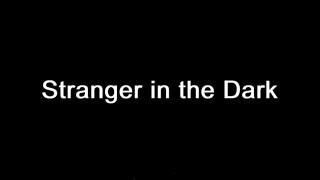 Stranger in the Dark