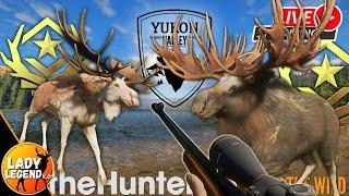 300 Kills into the YUKON Moose Great One Grind - PART 2 - LIVE!!!