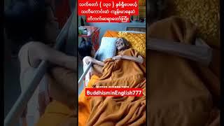 အသက်( ၁၃၁ )နှစ် တိဘက်ဆရာတော်ဘုရားကြီး ဖူးမြော်ကြပါ#shorts#short#shortvideo#youtubeshorts#love#music