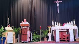 Catholic Homily Visitation Blessed Virgin Mary Light of the World  May 31 2024 Deacon Mike Symons