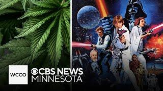 Cannabis license lottery faces controversy, Star Wars translated into Ojibwe | Voices