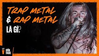 Trap Metal & Rap Metal là gì? | Lịch sử & Đặc điểm