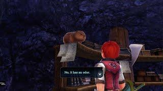 Ys VIII -Lacrimosa of DANA- (NIGHTMARE) CHAPTER 4: PART 3 - MEETING MASTER KONG