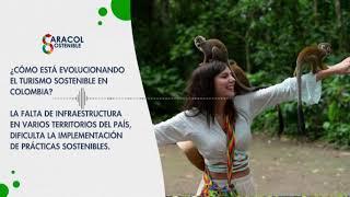 ¿Cómo está evolucionando el turismo sostenible en Colombia? Experta habla