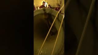 Mezzogiorno in Cattedrale   #campane #bellringing #bells #glocken #church #italy #shorts #viralvideo