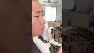 Kiss cat #funny #healingpaws #funnypet #cat