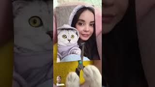 #funny#cat video #dogandcatvideo #comedyvideos