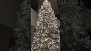 Kim Kardashian Christmas tree light