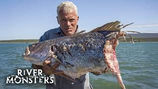 HORROR Stories about the SCARIEST River Monsters (Part 3)