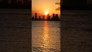 Cae otra vez el Sol en el Orizonte de #miami,#music Jeanette 1974,#shorts,#video,#usa