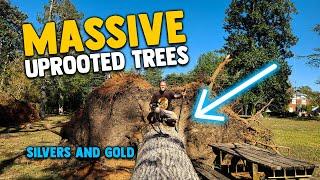 Metal Detecting The Bases of MASSIVE Uprooted Trees - MULTIPLE SILVERS & GOLD!