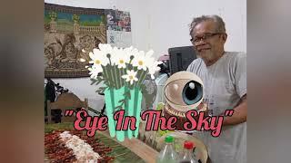 Eye In The Sky | The Alan Parsons Project | #song #cover by Lakay Obar | hildaworld #oldisgold