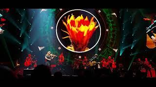 Livin' Thing - Jeff Lynne's ELO - Ball Arena - Denver,  Colorado- October 2, 2024- Over and Out Tour