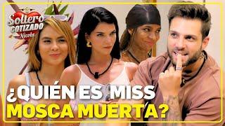 Las chicas de Nicola votan para designar a Miss Mosca Muerta, Miss X y mucho más | Soltero Cotizado