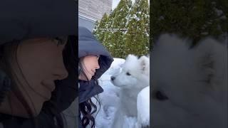 Snow kiss gone wrong