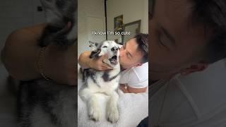 My Husky ARGUES When I Kiss Her!