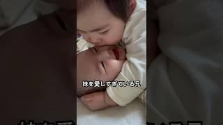 赤ちゃん愛が強すぎるまだちょっと赤ちゃん #baby #kiss #love #赤ちゃん #babyshorts #赤ちゃんのいる生活