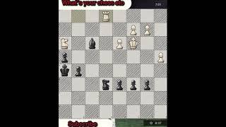 What’s your chess elo