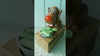 SWEETY DOG GOBBLING GREEN SNACKS #asmr #trending #shorts