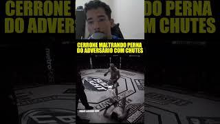 CERRONE MALTRANDO PERNA DO ADVERSÁRIO COM CHUTES #donaldcerrone #cerrone #ufc #ufcbrasil