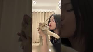 Cats don’t like kiss #foryou #funny #pets #animals ##funnyvideo #shorts #fyp #cat