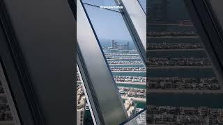 Millionaire shares rooftop view