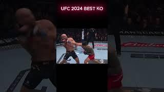 BEST 2024 KO'S IN UFC I follow for part 2