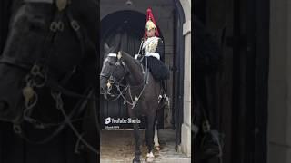 Little girls kiss to the kings guard ❤️ #horseguard