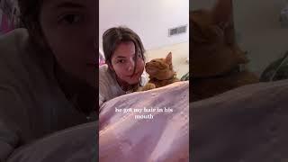 Kiss your cat #music #cat #funnyvideo #funny #funnycats #animals #kiss