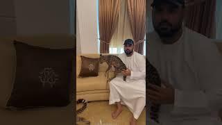 Dubai sheikh with big cats in house